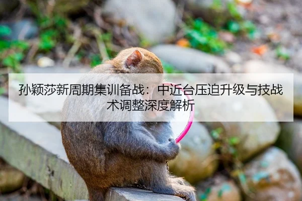 孙颖莎新周期集训备战：中近台压迫升级与技战术调整深度解析